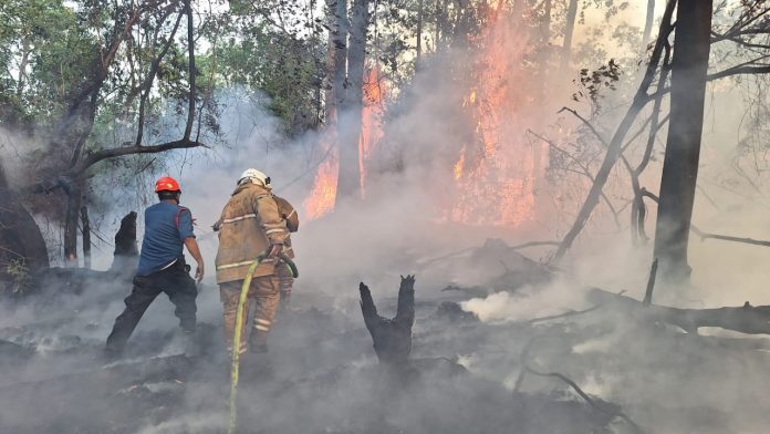 Kebakaran Lahan di Dekat RS PKT, Pemadam Terkendala Angin Kencang