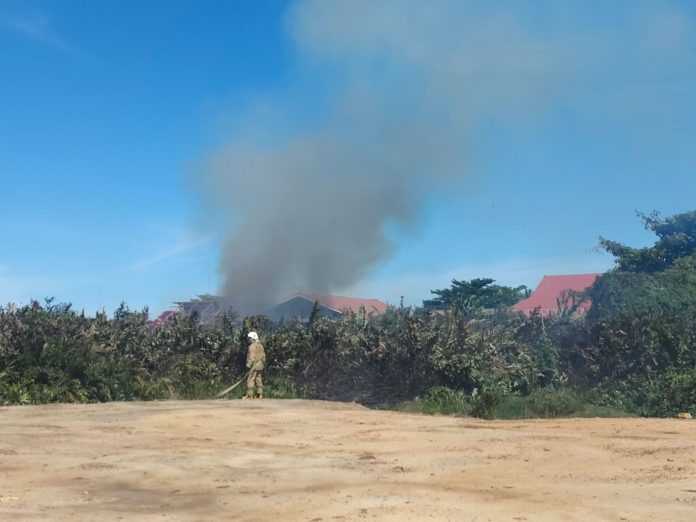 Diduga Akibat Aktivitas Pembakaran Sampah, Lahan 1,5 Hektar Ludes Dilalap Api