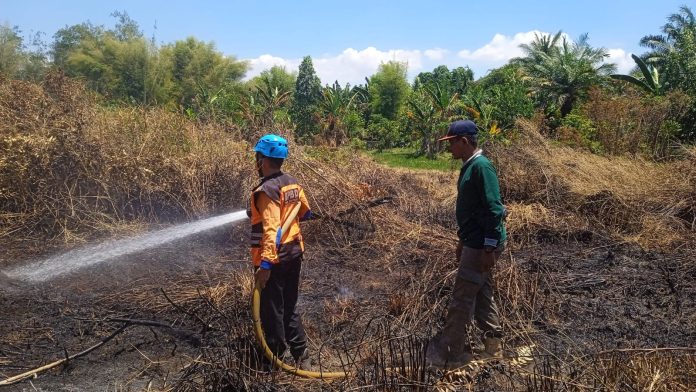 Kebakaran Lahan Nyaris Merembet ke Pemukiman Warga di Perumahan BTN PKT