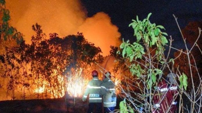 2 Hektar Lahan Gambut di Bontang Lestari Habis Terbakar