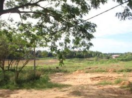 Pemkot Bontang Bebaskan 40 Hektar Lahan di Kanaan untuk Pembuatan Kolam Depresi