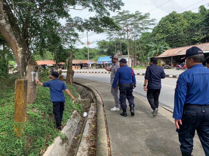 Rawan Roboh, Pohon-pohon di Jalan Cipto Mangunkusumo Bakal Ditebangi