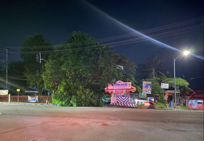 Pohon Besar di Simpang Tiga Yabis Tumbang