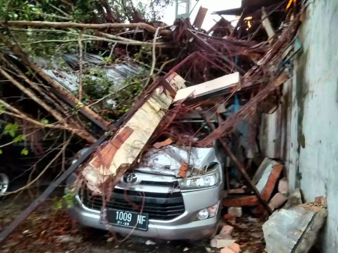 Pohon Tumbang Gegara Angin Kencang Timpa Tiga Mobil di Berbas Tengah