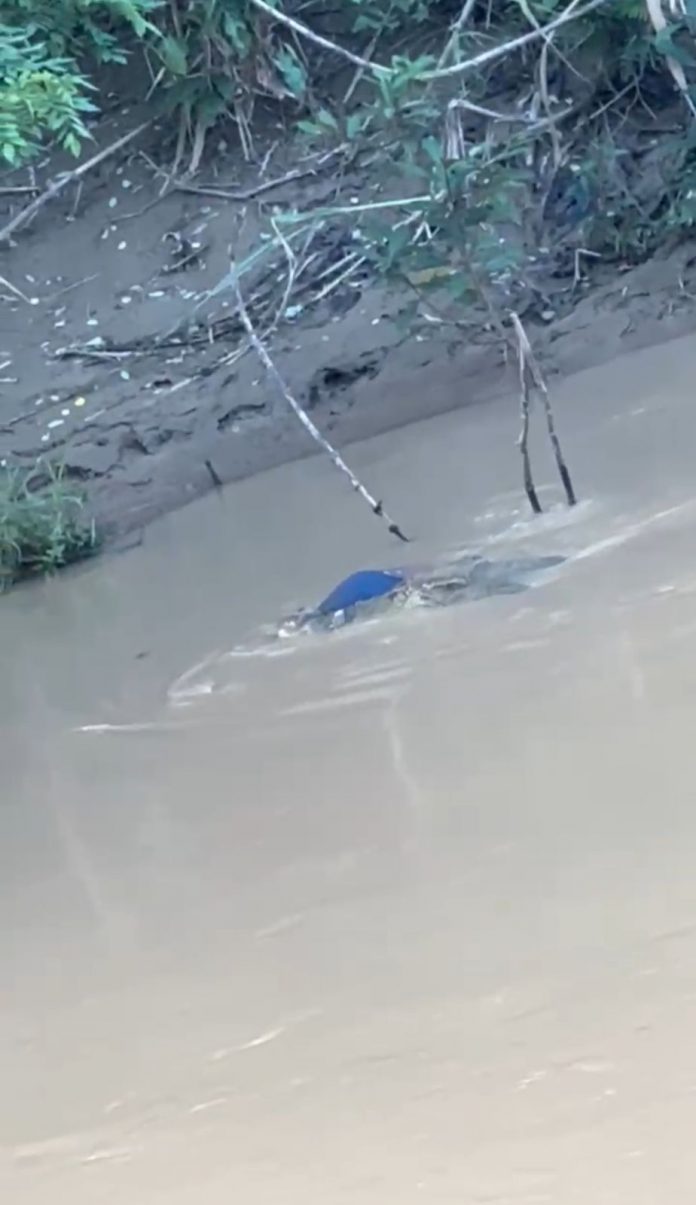 Anak 15 Tahun di Santan Ulu Meninggal Diterkam Buaya saat Mancing