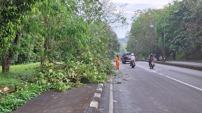 Dampak Hujan Semalam: Banjir, Dahan Tumbang, hingga Longsor