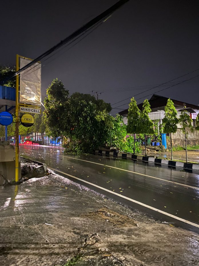 Hujan Deras dan Angin Kencang Akibatkan Pohon Tumbang di Loktuan