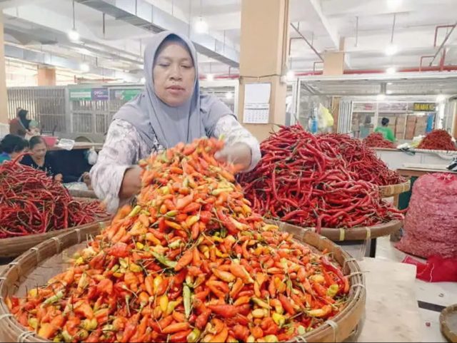 Harga Cabai Tembus Rp 90 Ribu per Kilo Jelang Puasa